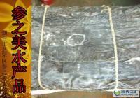 長島特產優質海帶批發 無根寬葉，粗加工水產品供應