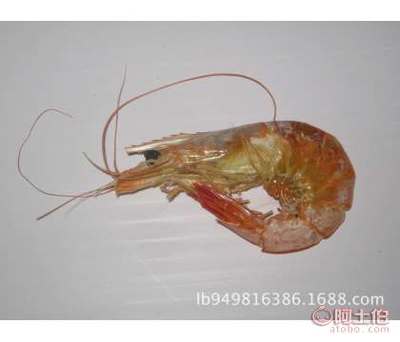 魯濱海產工廠直營 產地批發優質蝦類干制品