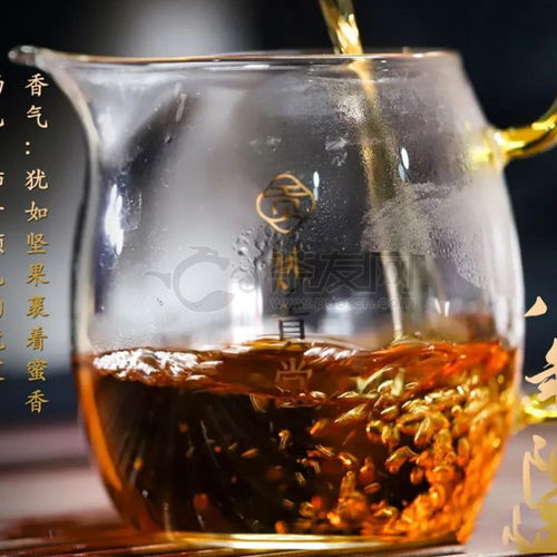 2022年妙貢堂八年陳白茶300克全方位解析 價格、評測與購買指南