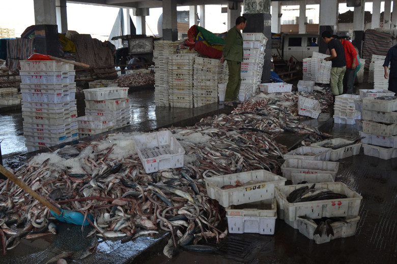 松門水產批發市場 邊買邊拍，探訪鮮活水產品批發新體驗