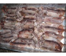 冷凍水產品魷魚企業黃頁與農副產品銷售指南